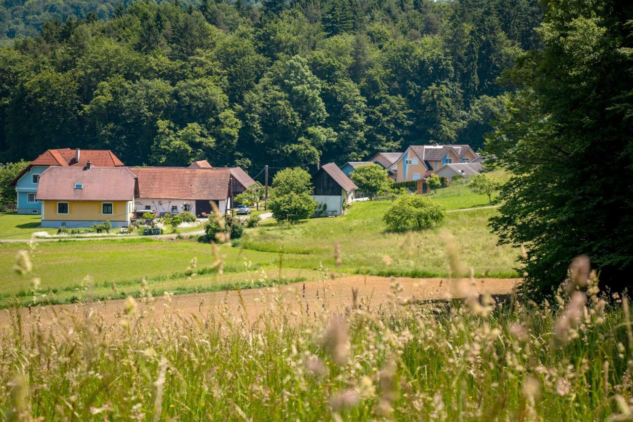 Apartmán Lackenbauer Muggenau Exteriér fotografie